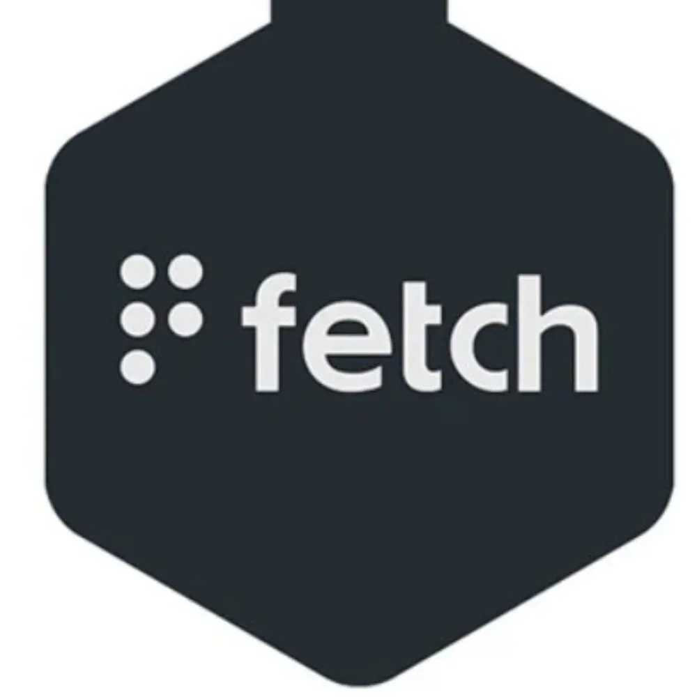 Life Key Digital ID Fetch - Picture 2 of 3